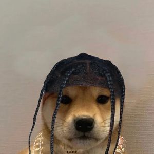 Meet your Posher, Marco